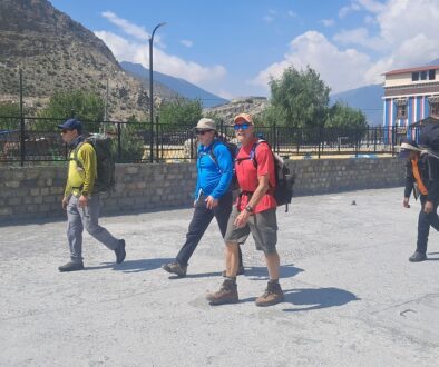 mustang-turist-porter