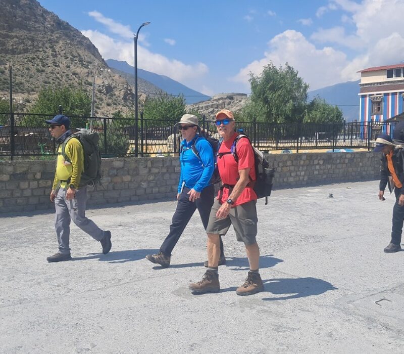 mustang-turist-porter