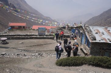 thorang-mustang