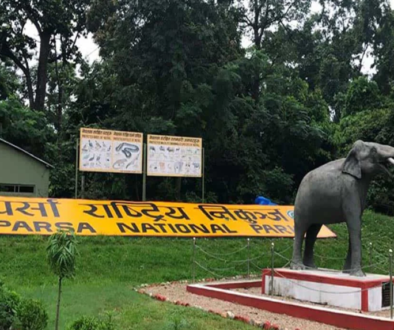 Parsa National Park