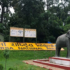 Parsa National Park