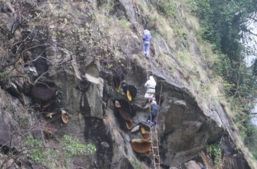 bhirmauri