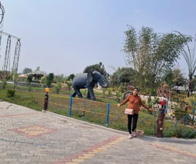 damak-park
