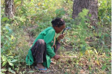 ethnic group