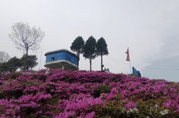 gufapatal-ilam