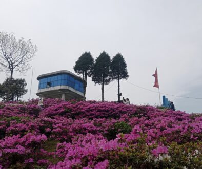 gufapatal-ilam