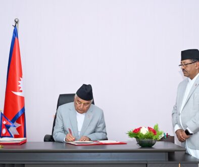 paudel-jari