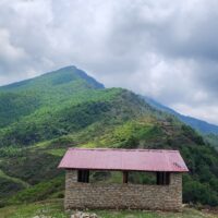 pokhara-forest