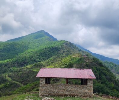 pokhara-forest