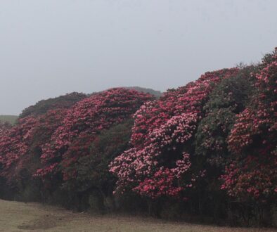 pundum-trel-khotang