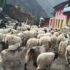veda-gorkha