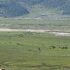 Dhorpatan-