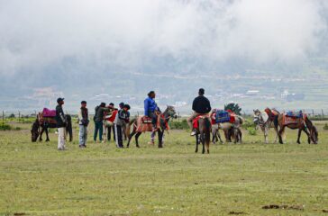 dhorpatan-hors