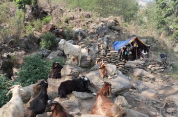 ghumti gotha