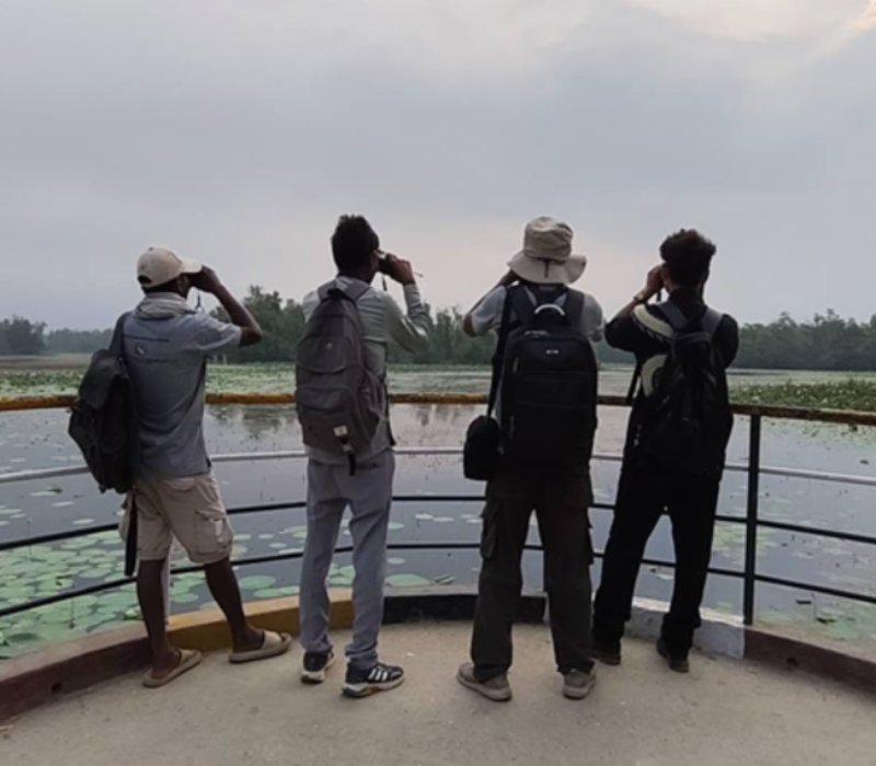 harihans-_ghodaghodi