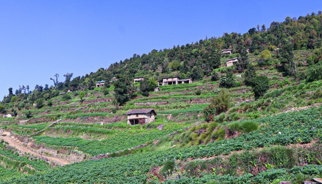 muthachaur-baglung