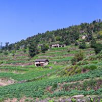 muthachaur-baglung