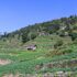 muthachaur-baglung