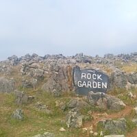 rock-garden