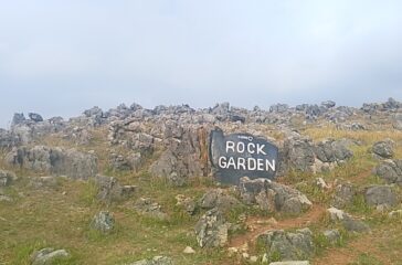 rock-garden