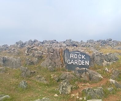 rock-garden