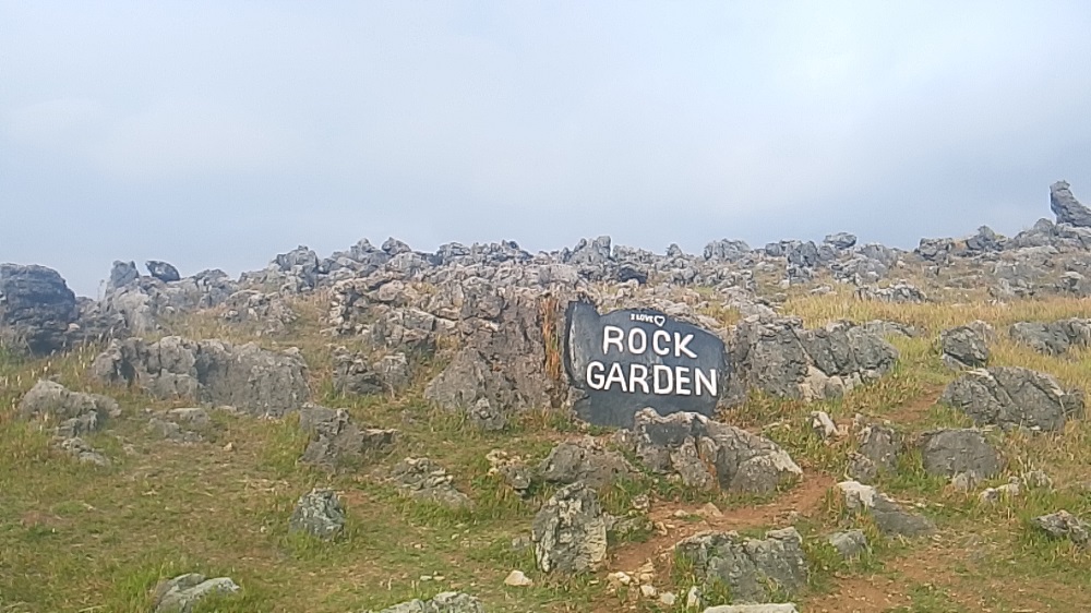 rock-garden