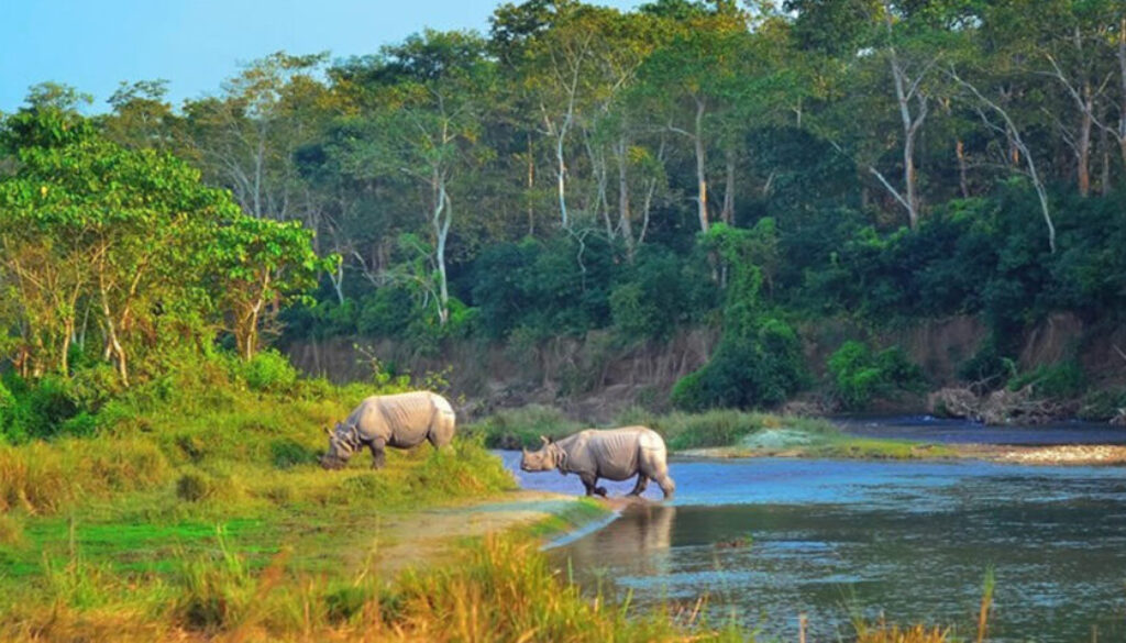 Chitwan tourism