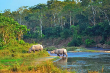 Chitwan tourism