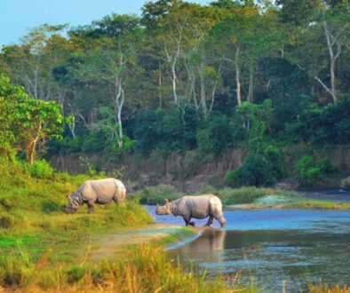Chitwan tourism
