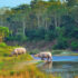 Chitwan tourism