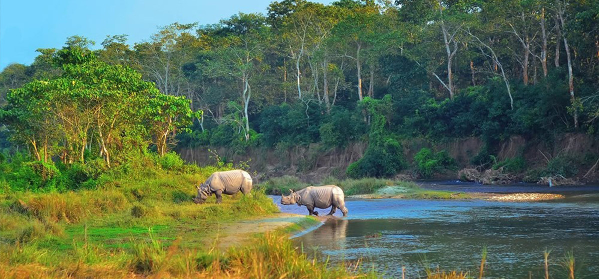 Chitwan tourism