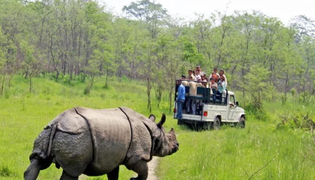 chitwan-zoo