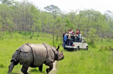 chitwan-zoo