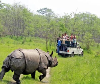 chitwan-zoo