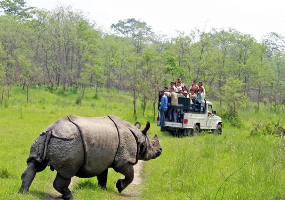 chitwan-zoo
