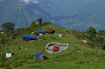 harsing-danda