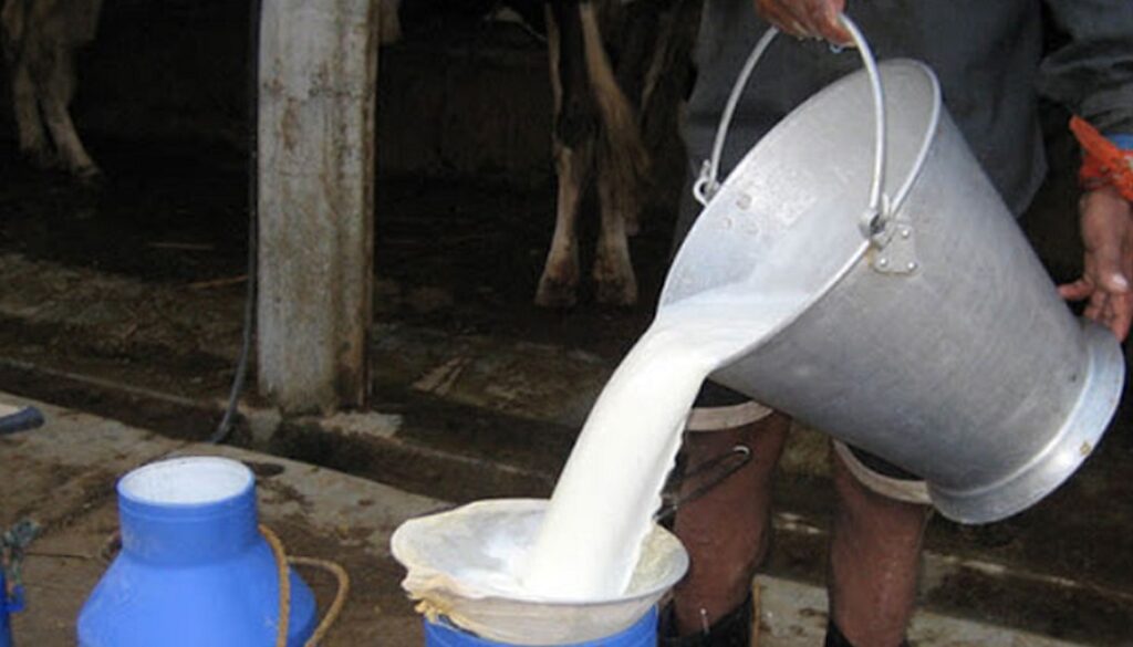 milk-kisan