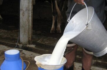 milk-kisan