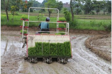 rice planting ny machine