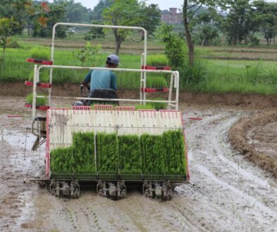 rice planting ny machine