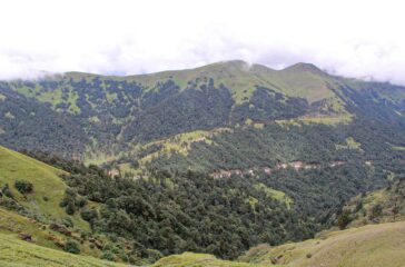 rigtal-baglung