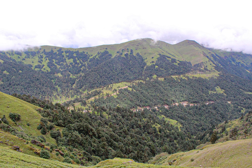 rigtal-baglung