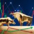 stock-market