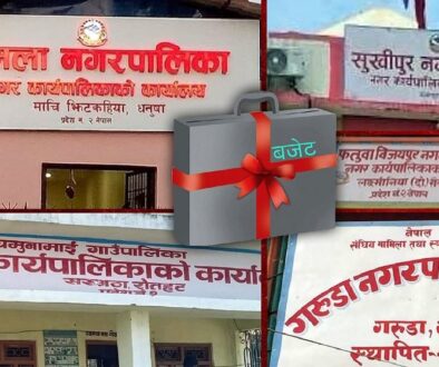 Palika_Budget