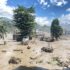 Rasuwa flood3