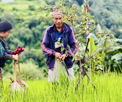 Rukum-purba