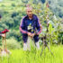 Rukum-purba