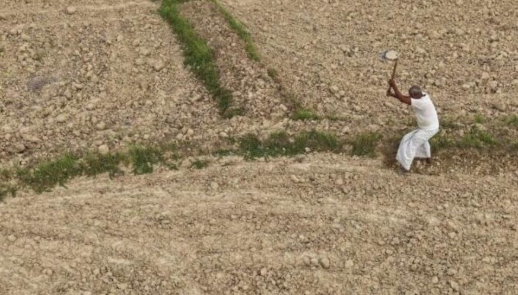 drought