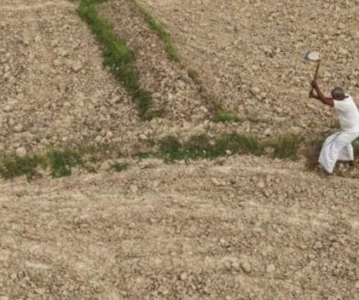 drought