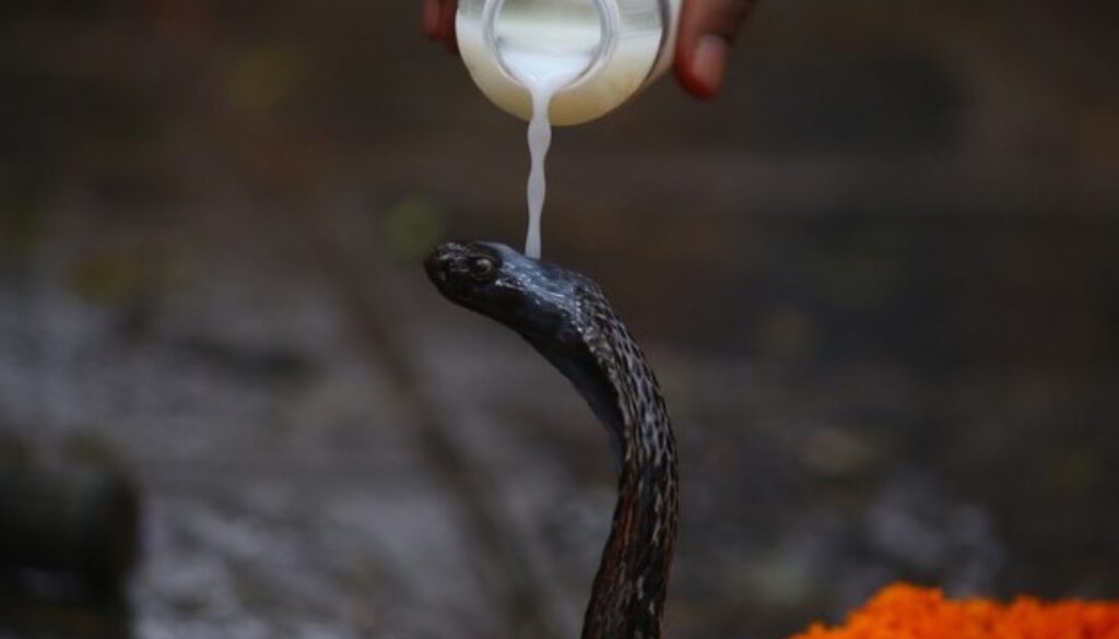nagpanchami